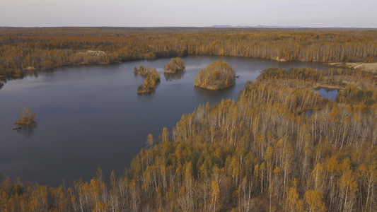 摄像头飞过环绕着秋天森林的光滑湖面上视频