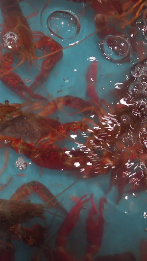小龙虾超市售卖实拍14秒视频