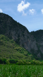 山峦下玉米田地延时视频