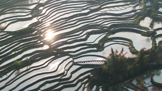 4k航拍灌水梯田阳光反射风景视频