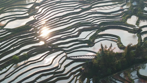 4k航拍灌水梯田阳光反射风景14秒视频