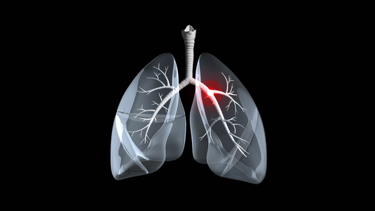 4K透明通道肺部器官素材视频