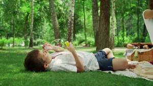 可爱的男孩躺在森林里的毛毯上24秒视频