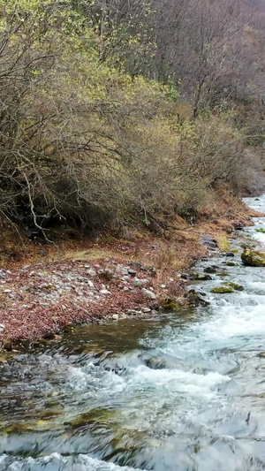 航拍青海扎龙沟景区瀑布溪水合集森林公园68秒视频