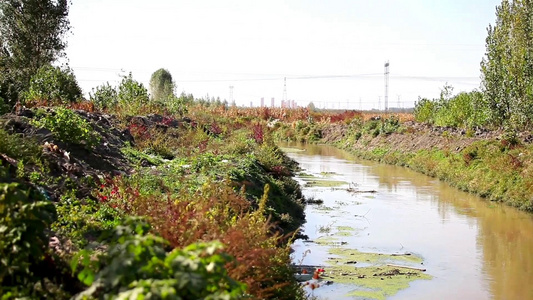 邢台牛尾河河道水污染河道污染河道垃圾视频