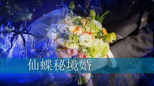 摄图网-仙蝶秘境婚礼展示会声会影x10模板88秒视频