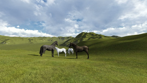 草原的动画景晨光在牧场中放牧的马群21秒视频