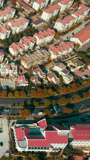航拍青岛秋天的八大关城市天际线41秒视频