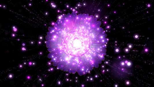 4K紫色粒子牡丹花背景视频