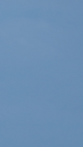 城市蓝天白云天空下航拍器无人机飞翔素材航拍器素材视频