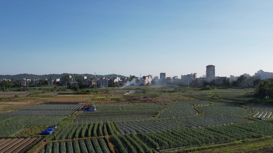 农田航拍视频