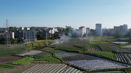 航拍农田秸秆燃烧烟雾视频