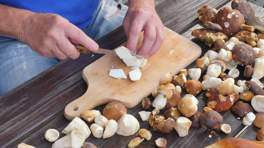 用老手上的菜刀清洗野生蘑菇人手小心地拿蘑菇从茎上去除视频
