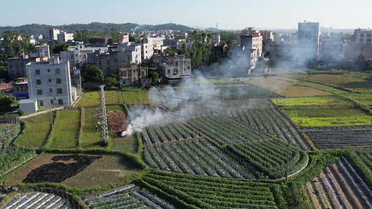 航拍农田秸秆燃烧烟雾视频