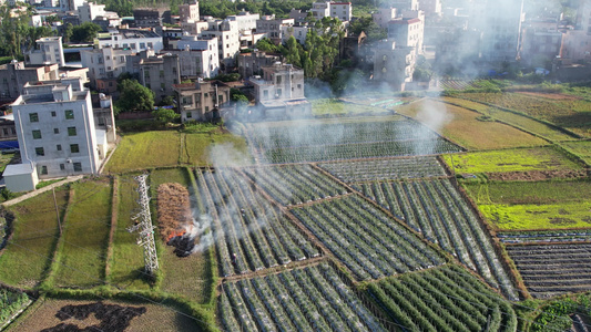 航拍农田秸秆燃烧烟雾视频