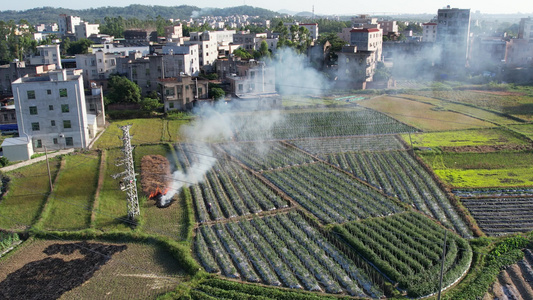 航拍农田秸秆燃烧烟雾视频