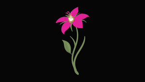 mg动态花朵生长视频素材6秒视频