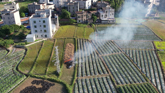 航拍农田秸秆燃烧烟雾视频