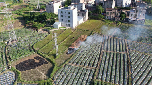 航拍农田秸秆燃烧烟雾视频