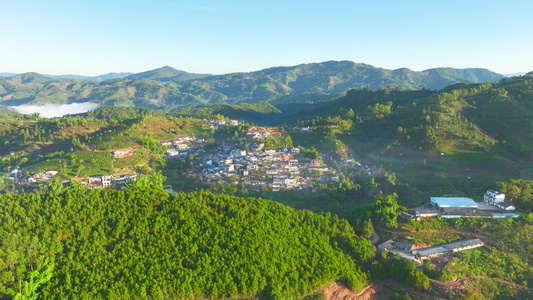 航拍茶山茶园视频