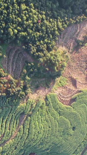 云南梯田航拍无人机30秒视频