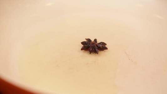 炝锅炒茄子炒茄鲞视频