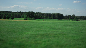 在乡村俱乐部打高尔夫球的球道景观14秒视频