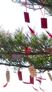 树枝上的祈愿牌许愿牌视频