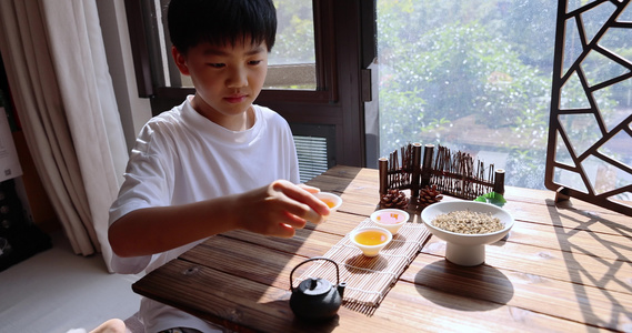 喝茶茶文化儿童喝茶红茶金骏眉视频