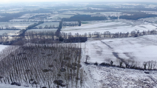 冬季通过针叶林的道路上的全景美丽的法国白雪皑皑的乡村视频