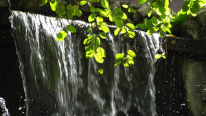 人造瀑布绿色叶子阳光照耀9秒视频
