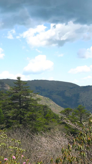 5A风景区神农架森林板壁岩景区延时合集32秒视频
