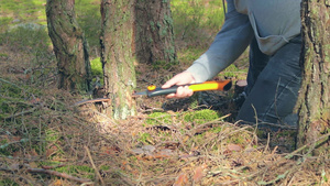 观光客正在森林中锯木做营火28秒视频