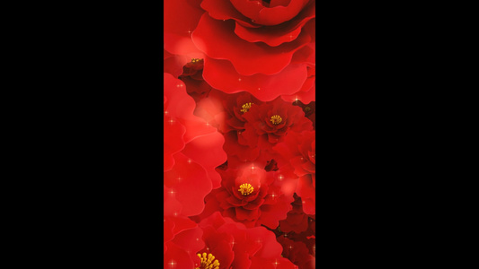 红色花朵大只粒子婚礼喜庆背景视频