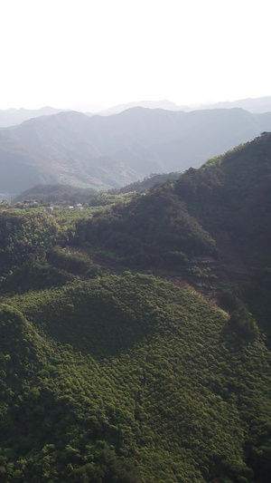 【旅游宣传片】浙江杭州千岛湖航拍宣传片合集新安江119秒视频