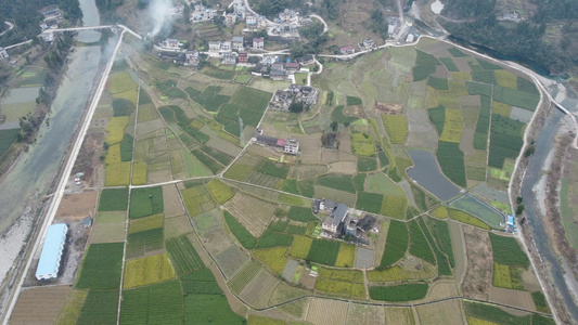 茶山 高山茶 茶园航拍视频