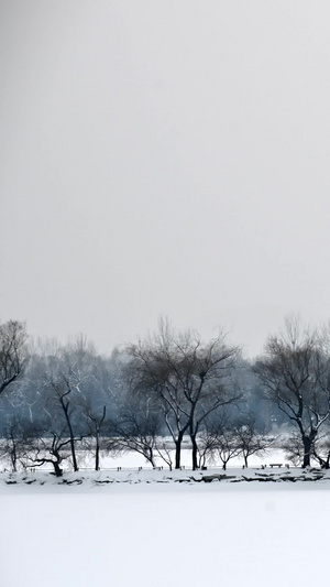 北京颐和园镜桥延时颐和园雪景9秒视频