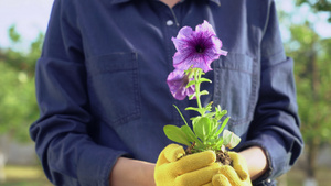 女人捧着植物7秒视频