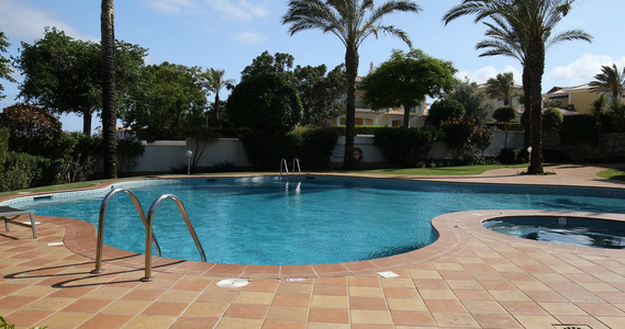 在温暖的阳光明媚的日子里游泳池躺椅和棕榈树是度假的视频