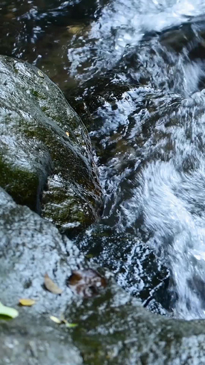 夏日清澈的山涧小溪水资源35秒视频