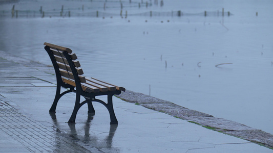 下雨天杭州西湖湖面上的鸳鸯视频