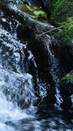 夏日清澈的山涧小溪大自然35秒视频