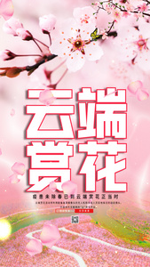 粉色云端赏花旅游视频海报视频