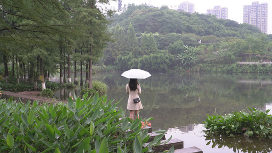 细雨蒙蒙雨中撑伞游公园的女孩视频