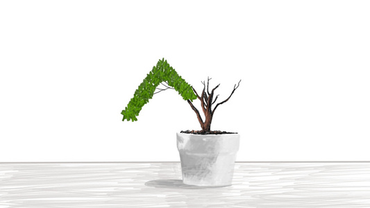 手工绘画动画锅中的小植物形状像生长图视频