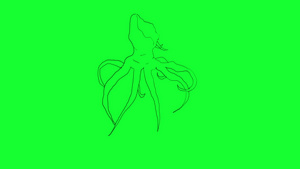 在绿屏幕上手工绘制怪兽章鱼动画11秒视频