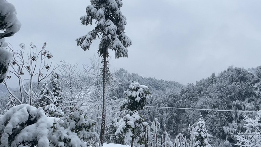 大雪包裹大山 雪景 视频