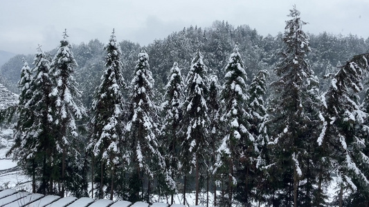 大雪包裹大山 雪景 视频