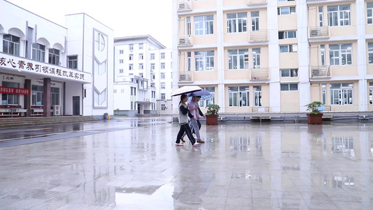 实拍师生行走在雨中视频