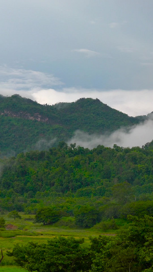 自然风景山野林间云雾缭绕延时20秒视频